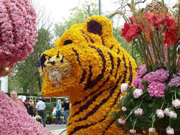 Фестиваль цветов композиции