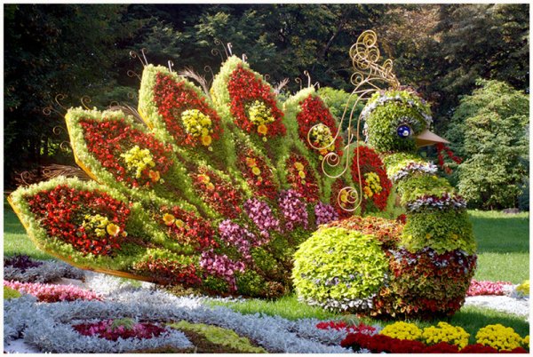 Цветочные композиции на клумбе