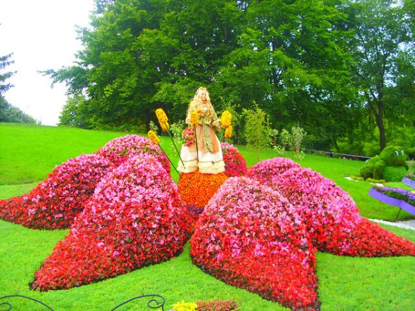 Фигуры из живых цветов и растений на клумбах