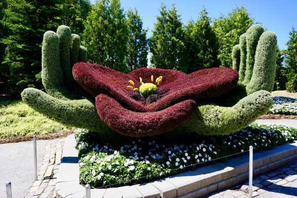 Канада. Цветочные скульптуры Монреаля +28