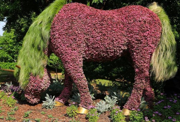 Цветочные скульптуры