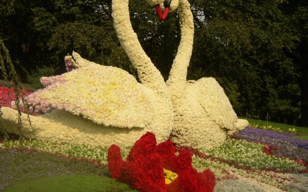 Инсталляция из цветов