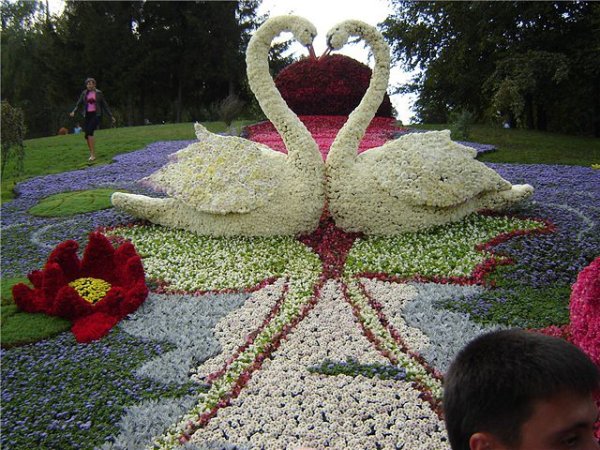 Клумба в виде птиц