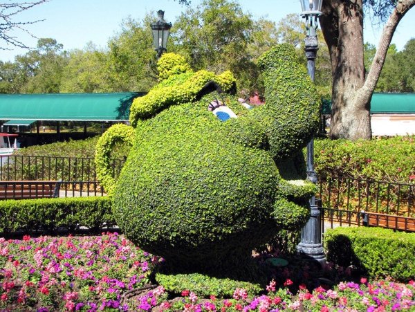 Международный фестиваль цветов в Epcot Center