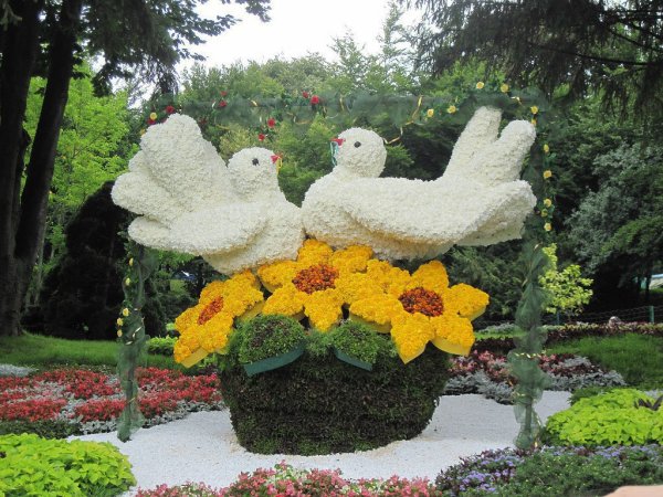 Птица из цветов