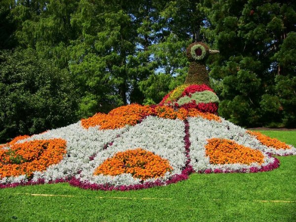 Топиарная фигура Павлин