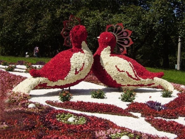 Кисловодск топиарные фигуры