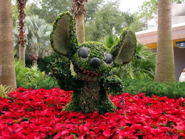 Фигуры из живых растений