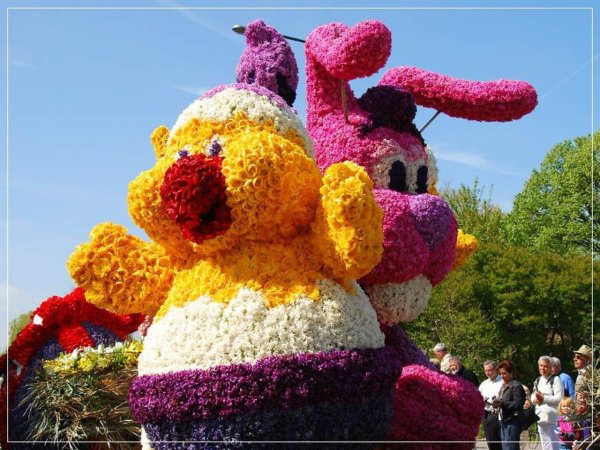 Фигуры из цветов