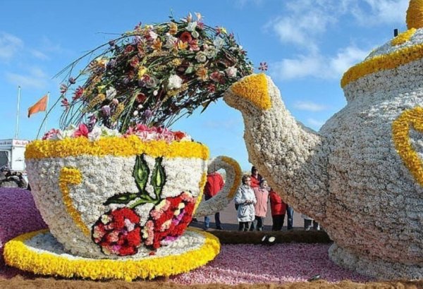 Фигуры из цветов на клумбе огромные