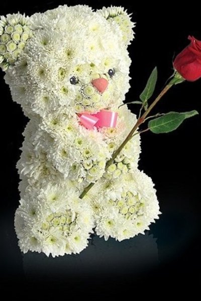 Необычные букеты из живых цветов