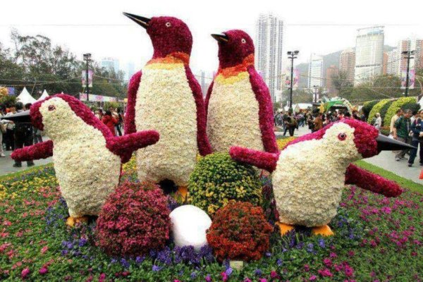 Скульптуры из цветов