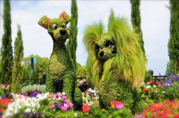 Клумбы в виде животных