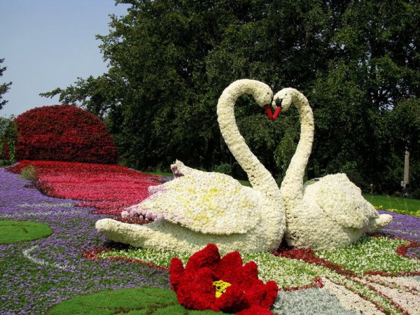 Цветочная клумба с лебедями