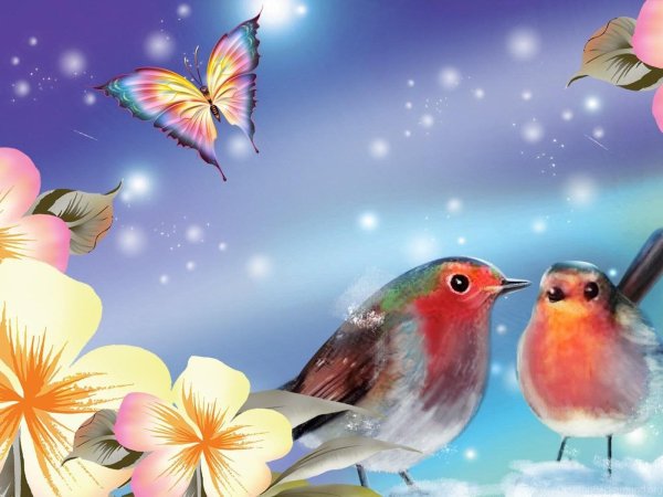 Обои цветы и птицы