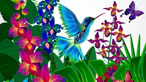 Яркие цветы бабочки птицы