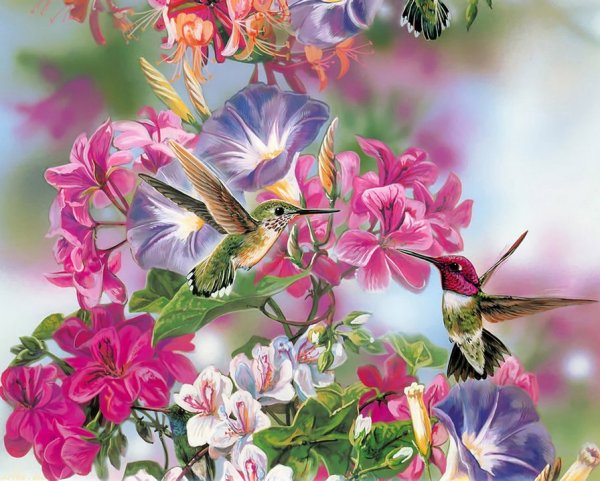 Алмазная мозаика Colibri