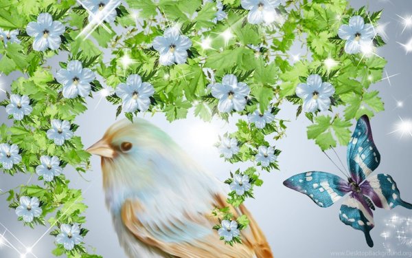 Бабочки цветы птицы