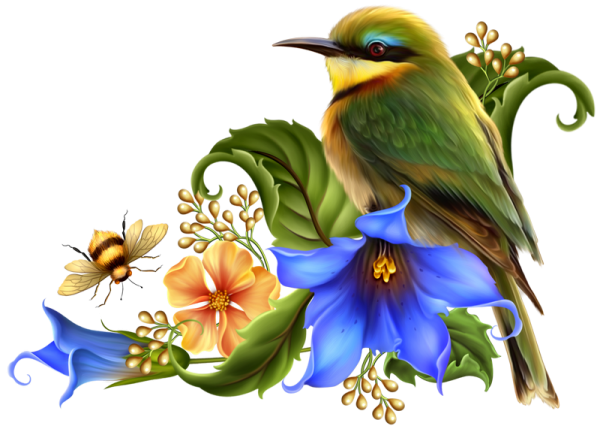 Barnali Bagchi птицы