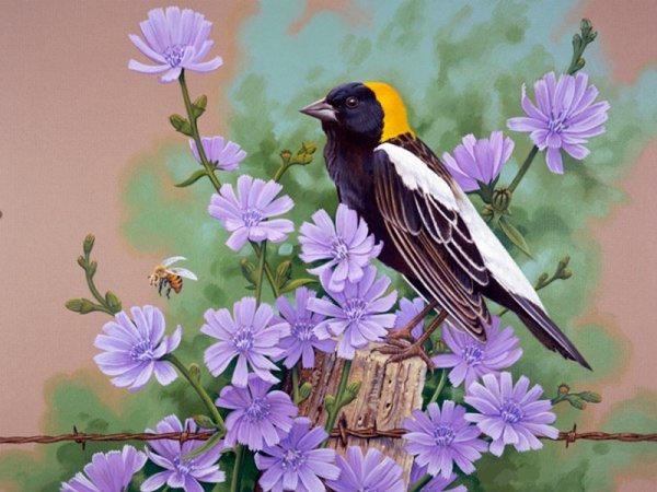 Джон френч Слоан художник птички