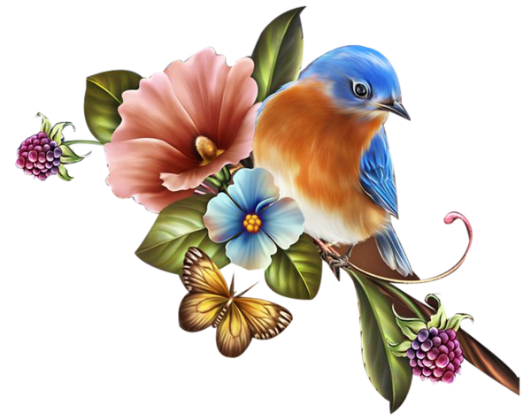 Сказочные птички