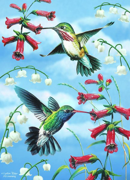 Экзотические птицы и бабочки