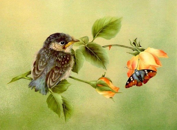 Живопись цветы и птицы