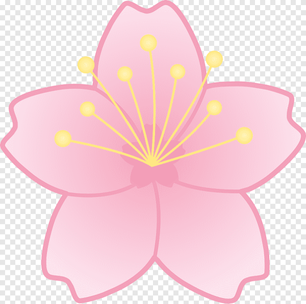 Яблоня в цвету вектор