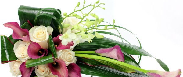 Цветы для мужчины на день рождения