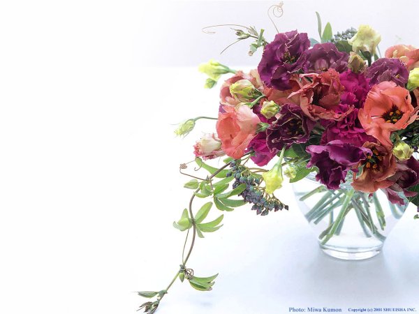 Поздравляю с днём рождения