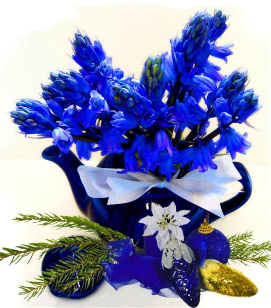 Вино и цветы