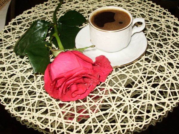 Доброе утро среда цветы