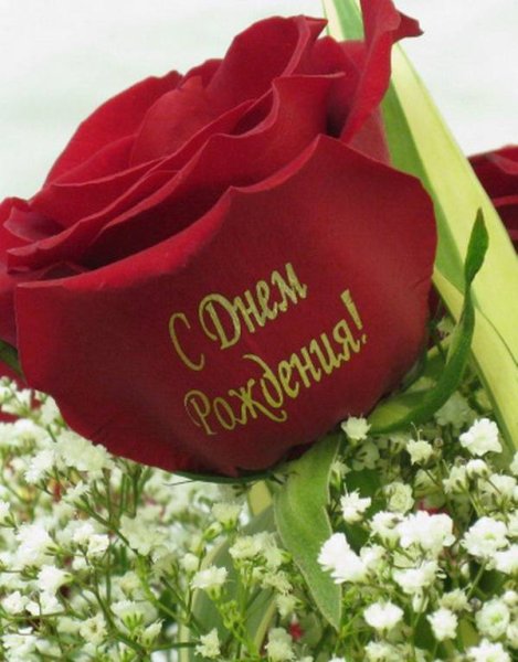 Букет цветов с надписью с днем рождения
