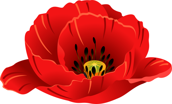 Мак на прозрачном фоне