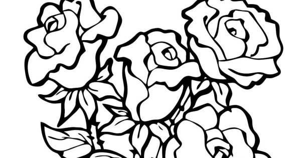 Цветы. Раскраска