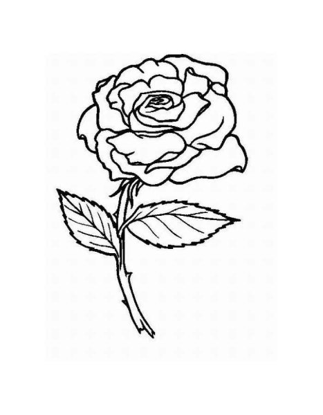 Цветы. Раскраска для малышей