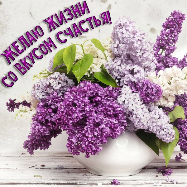 Цветы для роскошной женщины