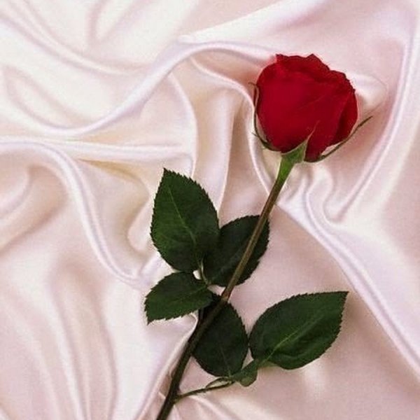 Красивые стихи девушке