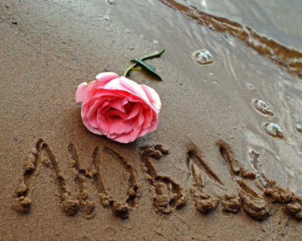 Цветы на песке