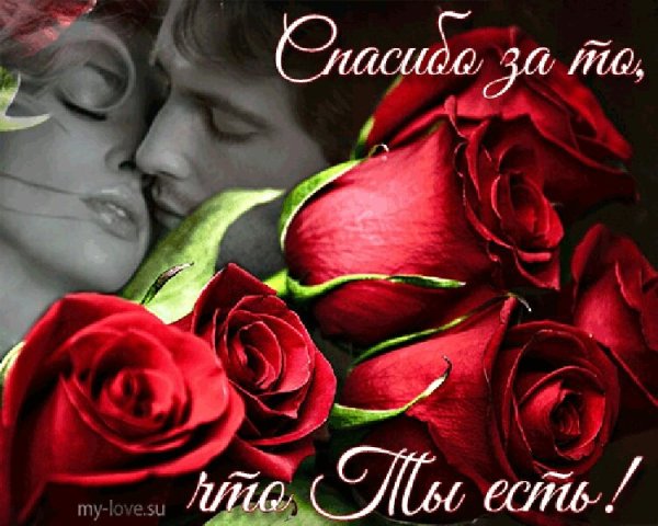 Цветы для любимых и родных