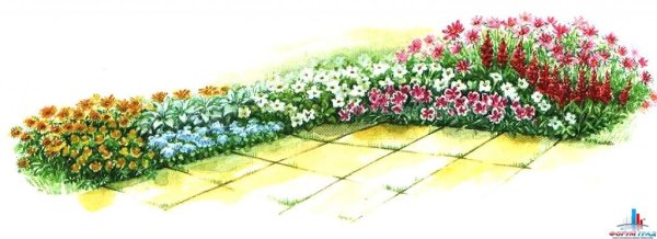 Клумба с калиной бульденеж схема