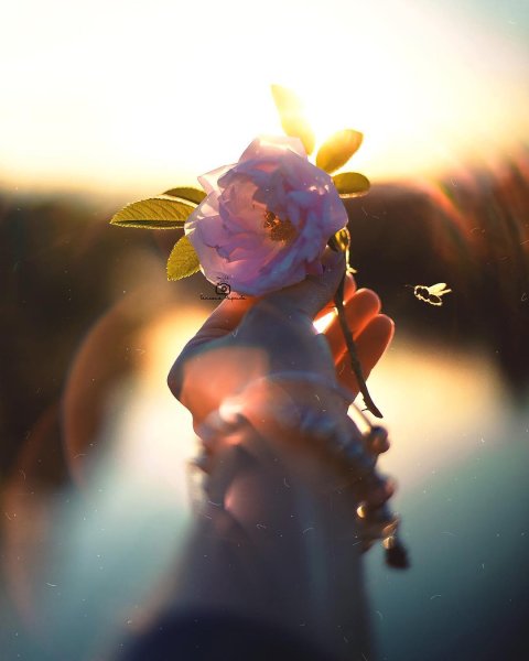 Душа в цветах