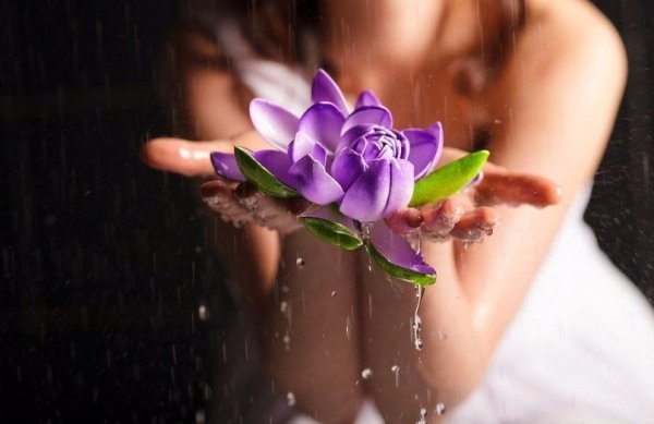 Цветы в душе