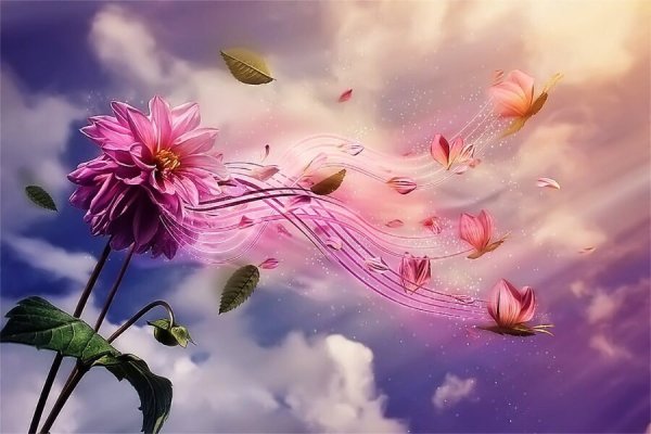 Цветы со смыслом