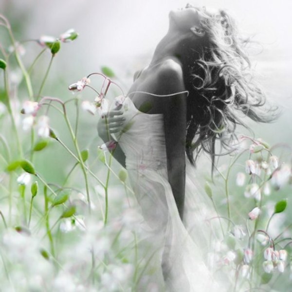 Цветы для души