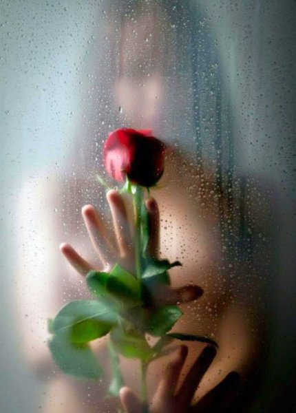 Счастье в ладошке открытка