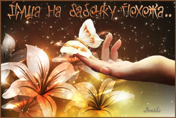 Радостные цветы