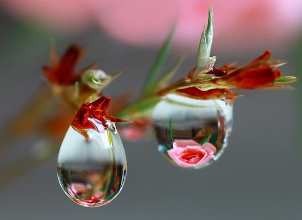 Весна в душе