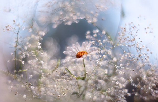 Весны в душе и счастья