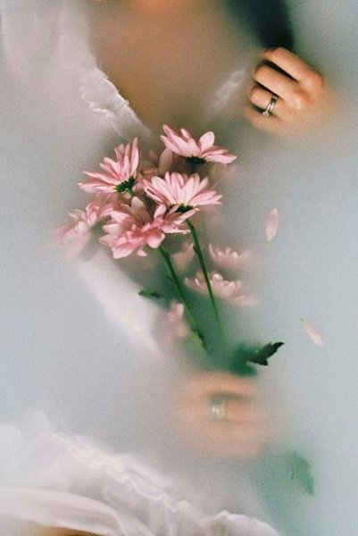 Бабочки с пожеланиями